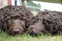 2009-06-07_zwei[1]